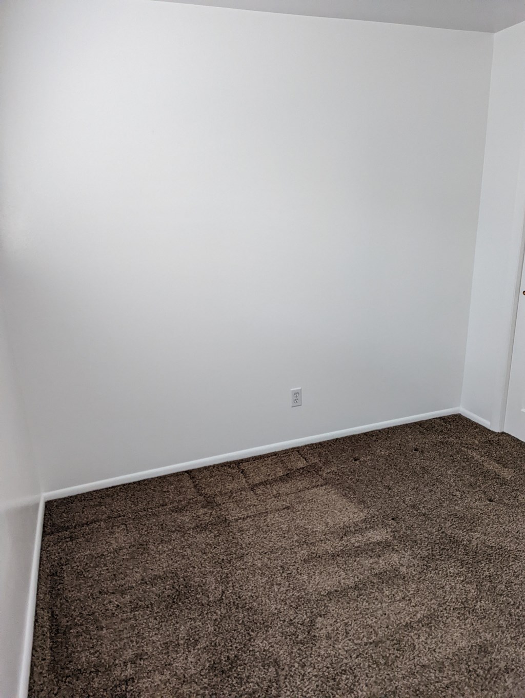A room with brown carpet and white walls.