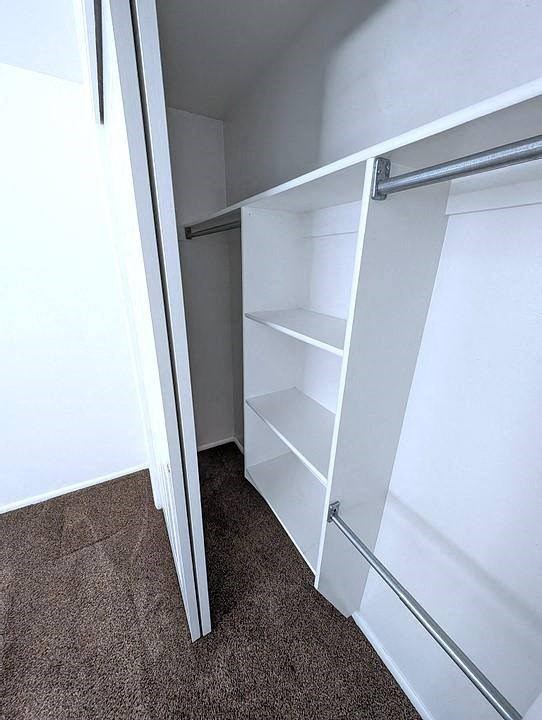 A white closet with shelves and a rod for hanging clothes.