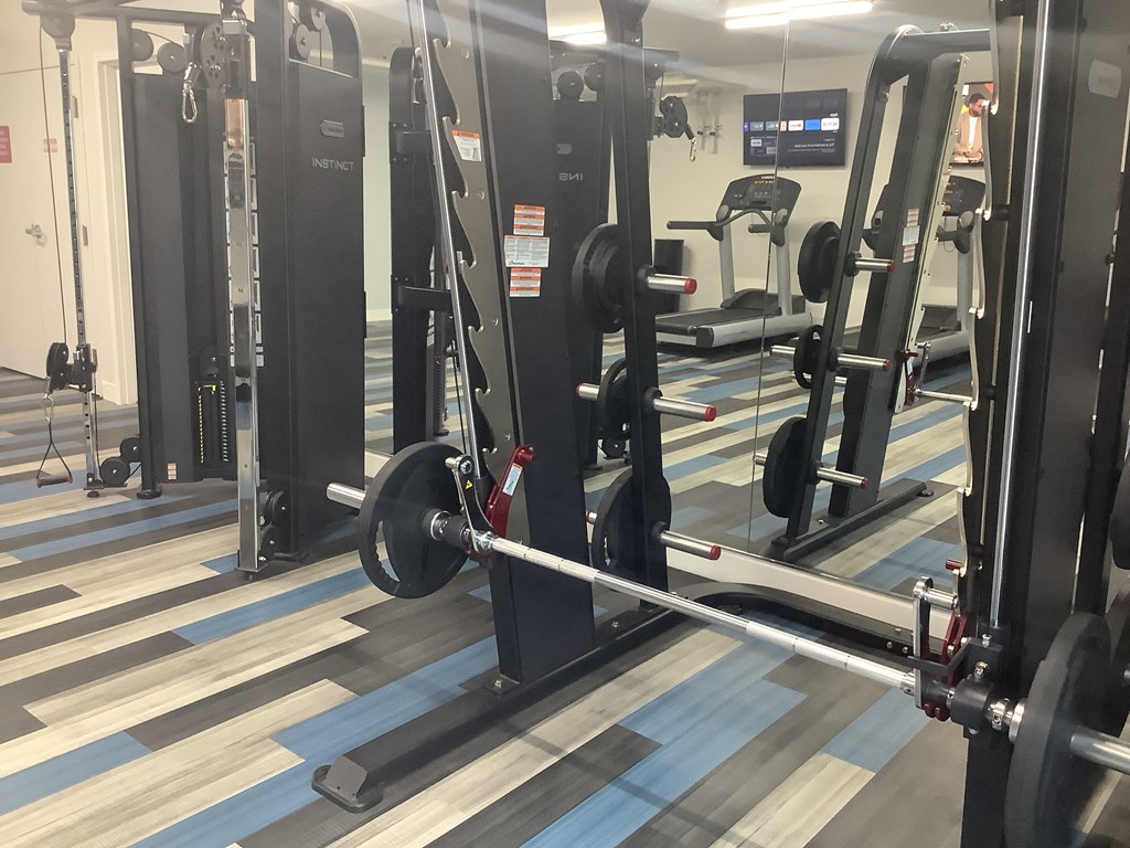 a row of weights in a gym