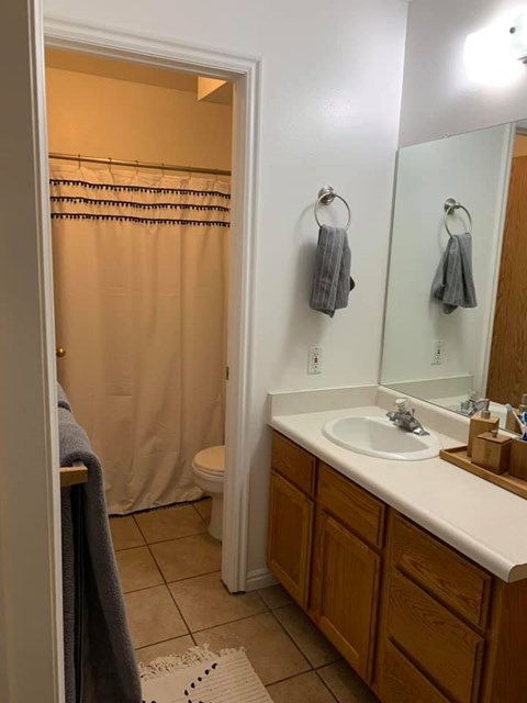 A bathroom with a toilet, sink, and shower.