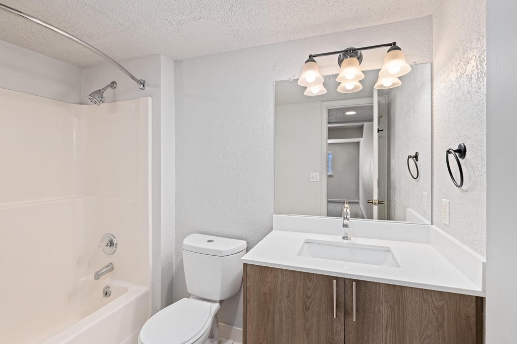 a bathroom with a sink toilet and a mirror