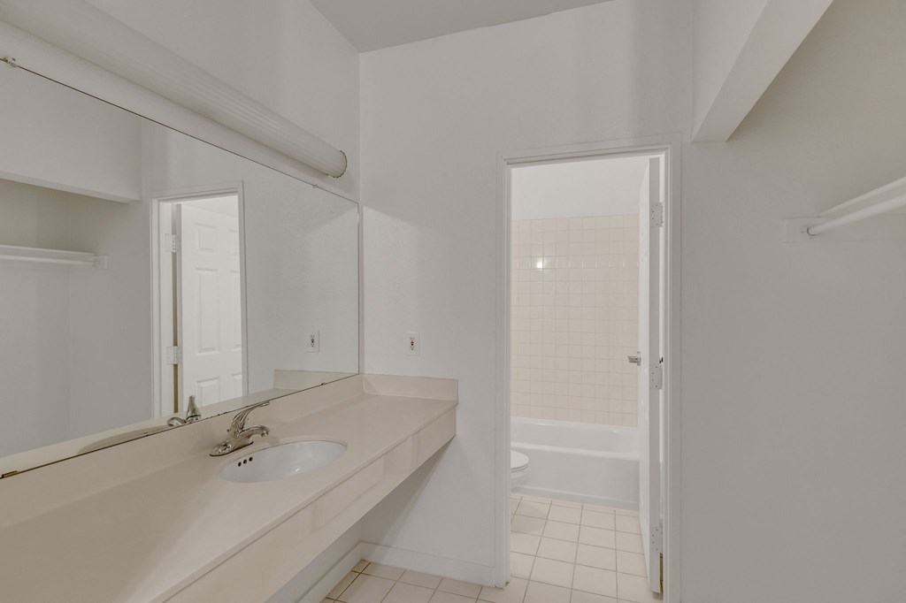 a bathroom with a sink and a mirror and a shower