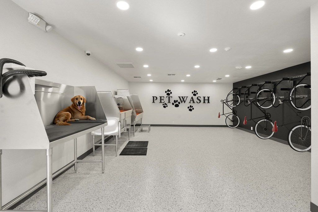 a dog sitting on a desk in a gym with bikes in the background at AVIA Lofts on Parkway Apartments, Vancouver, 98662