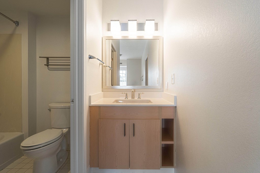 a bathroom with a sink and a toilet and a mirror