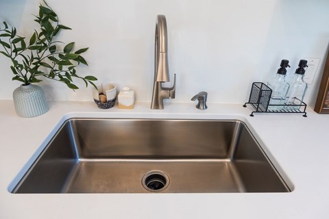 A modern kitchen sink with a silver faucet and a plant beside it at Alante Homes at Spring Run Flats Apartments, Caldwell, ID