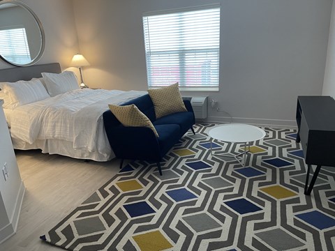 a bedroom with a bed and a couch and a rug