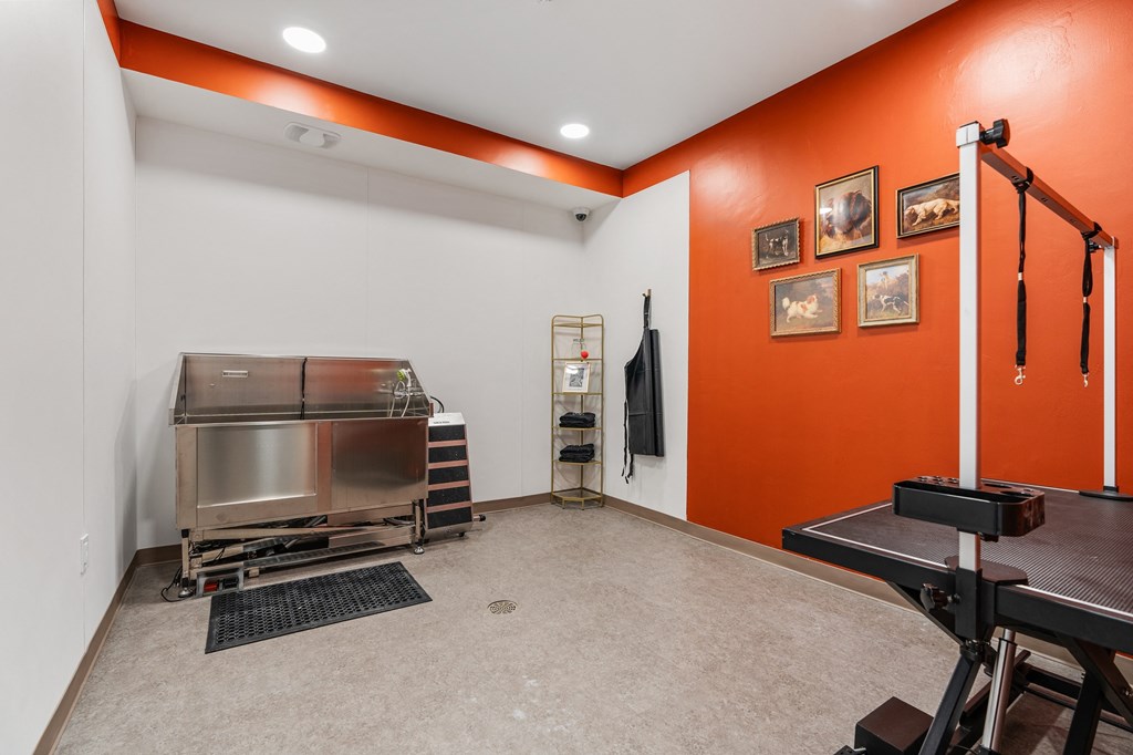 Pet Wash at The Revival, Salt Lake City