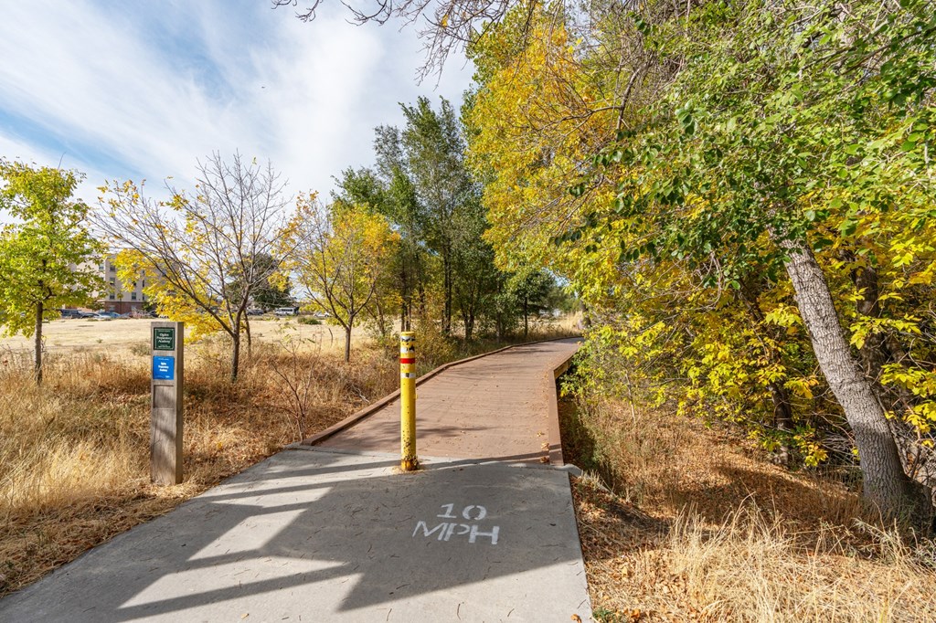 a path in a park with trees on both sides of itat The View on 20th, Ogden, 84401