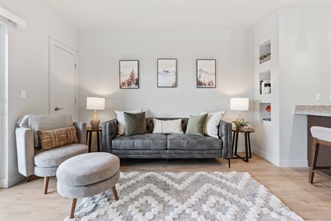 A living room with a grey couch, a grey ottoman, and a rug with a grey and white pattern.