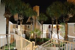 a group of palm trees outside of a house at night