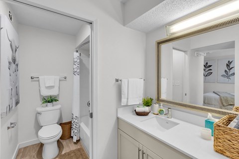 a bathroom with a mirror and a toilet and a sink at AVIA Lofts on Liberty Ridge Apartments, Florida