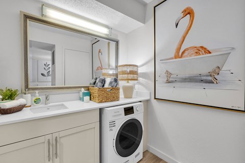 a laundry room with a sink and a washing machine and a mirror and a tub at AVIA Lofts on Liberty Ridge Apartments, Jacksonville, FL, 32256