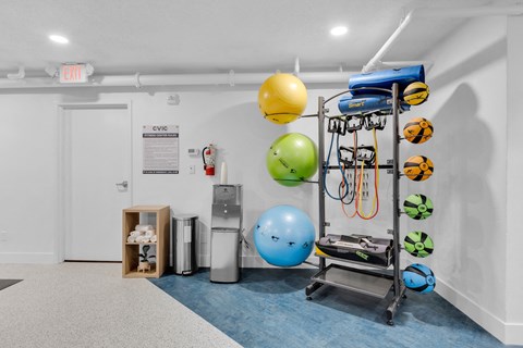 a fitness room with weights and balls and a cart at AVIA Lofts on Liberty Ridge Apartments, Florida
