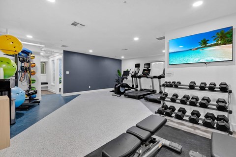 the gym with weights and cardio equipment at AVIA Lofts on Liberty Ridge Apartments, Jacksonville 32256