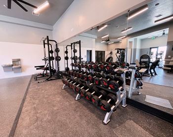 Gym Weights at SevenO2 Main Apartments, Salt Lake City, UT