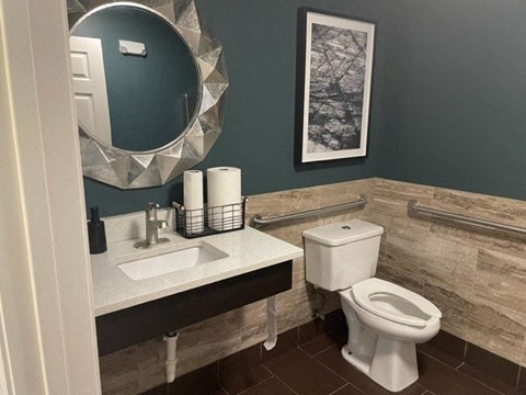 a bathroom with a toilet and a sink and a mirror