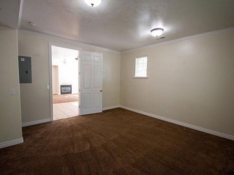 a living room with a carpet and a white door