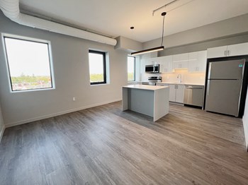 Kitchen & Living space Modern Kitchen with stainless steel appliances and large island - Photo Gallery 5