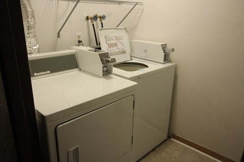 248 Princess St - Laundry