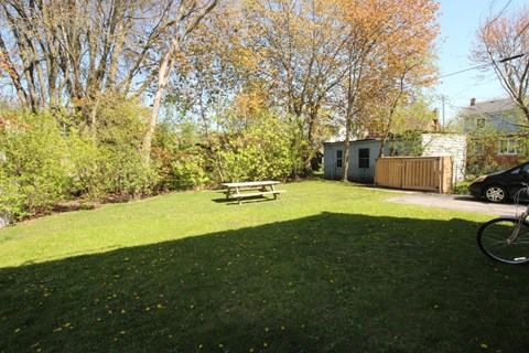 261 College St Backyard