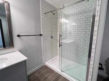 Modern Glass Shower with white tile and black grout - Photo Gallery 10