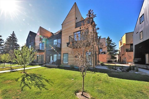 a view of the back of the building with green grass and a tree in front of it