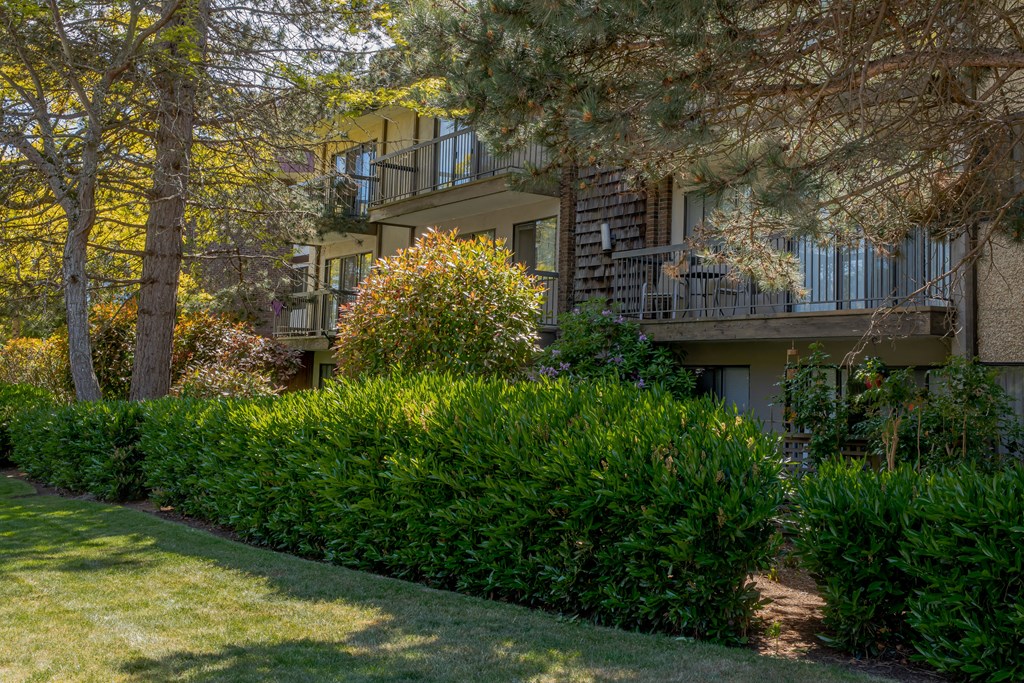 our apartments offer a clubhouse