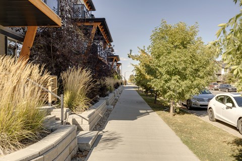 A white car is parked on the side of a street.