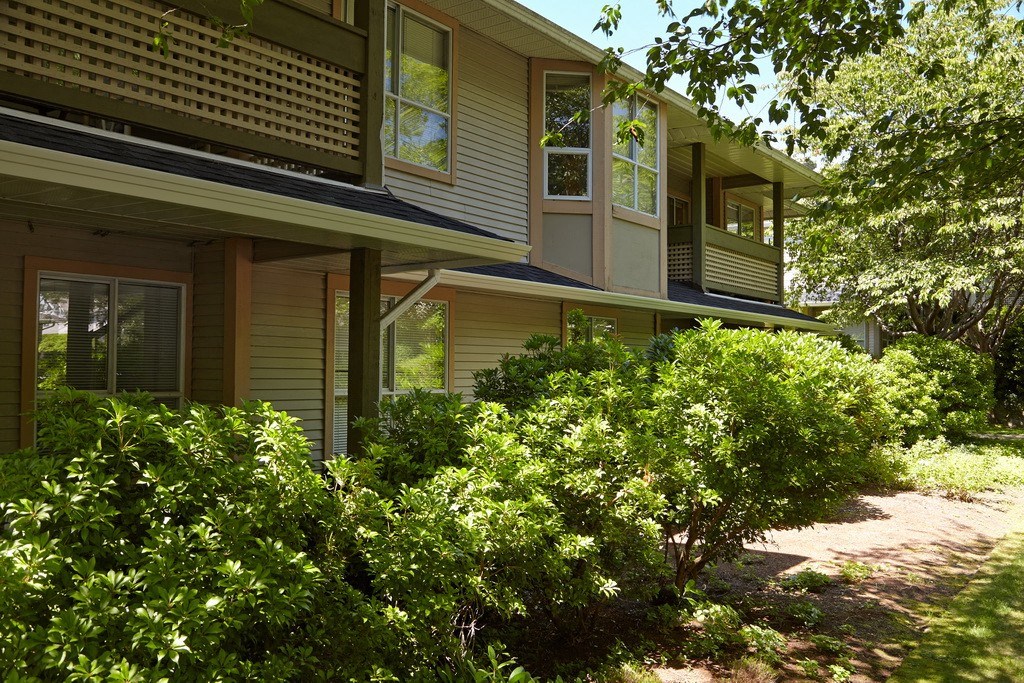a walkway in front of a house with trees in the background