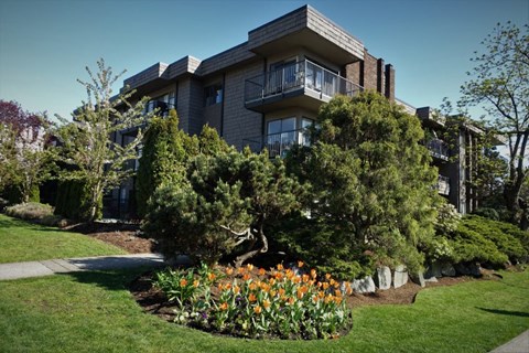 a black building with a garden in front of it