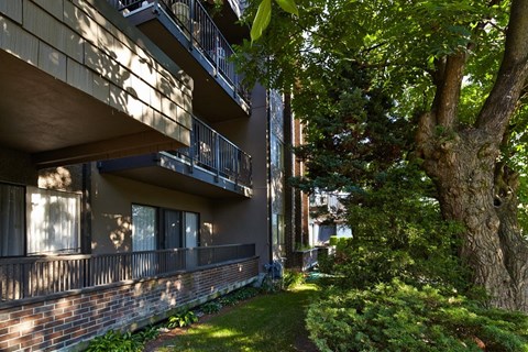 an apartment building with balconies and a large tree in front of it