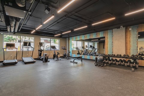A gym with a variety of equipment including treadmills, weights, and exercise machines.