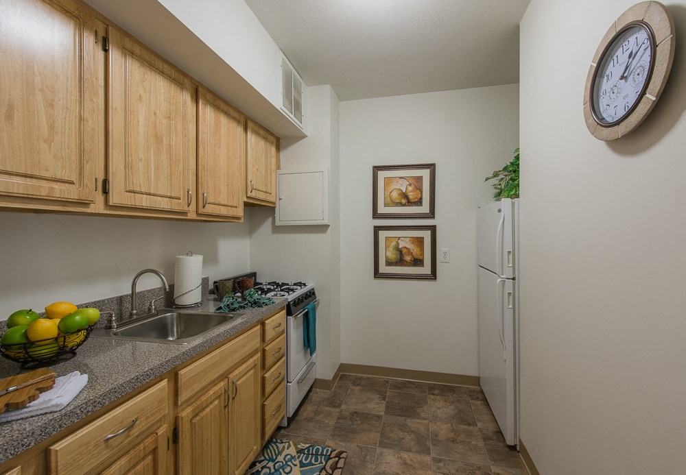 Independent Living Model 2 Kitchen