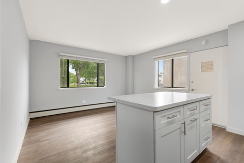 A kitchen with a white counter and cabinets with a window in the background.