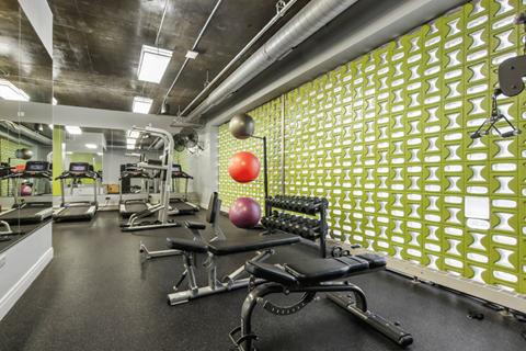 A gym with a green wallpaper and a red ball.