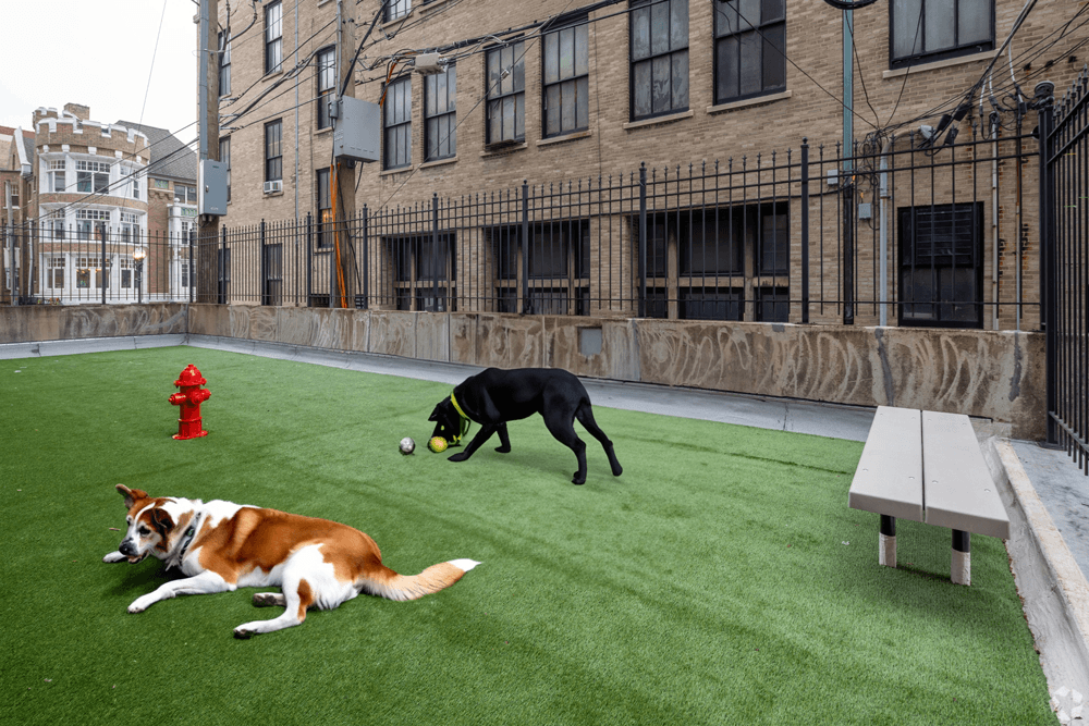 The Bryn Dog Park at The Bryn - 5600 N Sheridan Rd Apartments, Chicago, IL, 60660