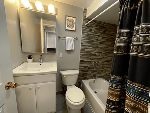 a bathroom with a sink toilet and bath tub