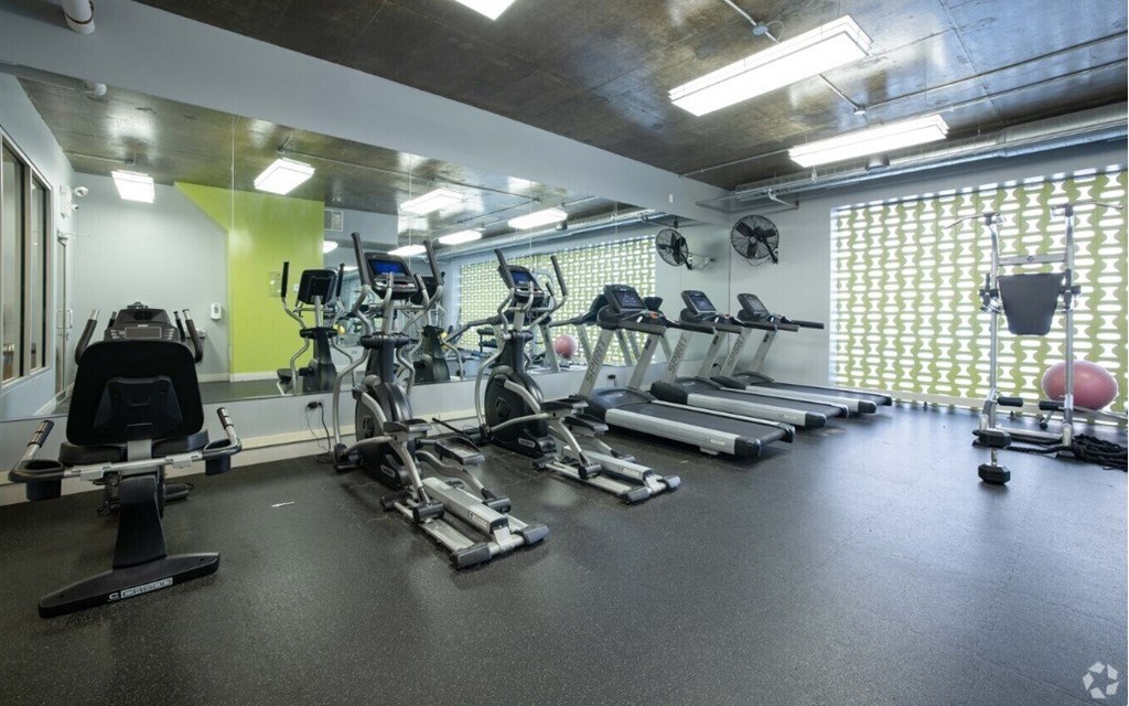 A gym with a variety of exercise equipment including treadmills, stationary bikes, and weight machines.