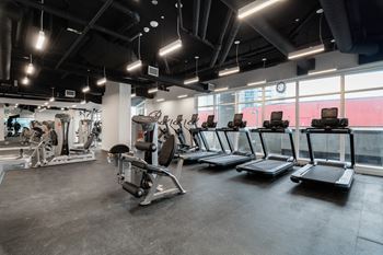 A gym with treadmills and other exercise equipment.