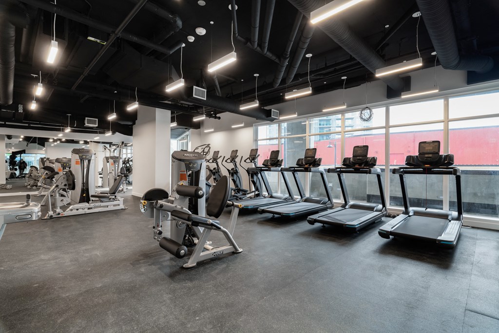 a gym with cardio machines and weights on the floor