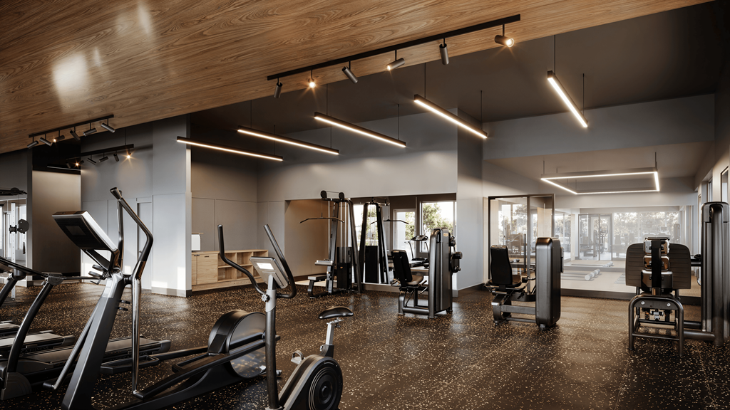 A gym with treadmills, weights, and exercise machines.
