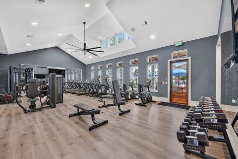 A gym with a variety of equipment including treadmills, weights, and a bench press.