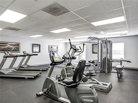 the gym is equipped with state of the art equipment
