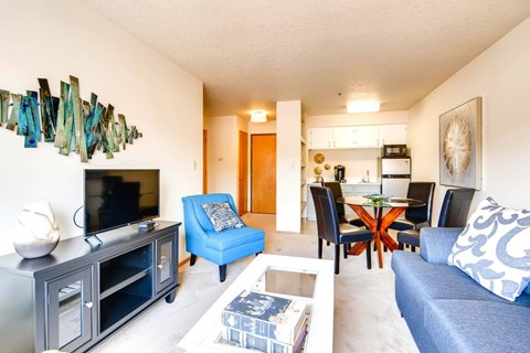 A living room with a blue couch and a television.