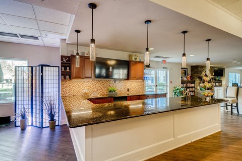 A kitchen with a counter and a bar area.