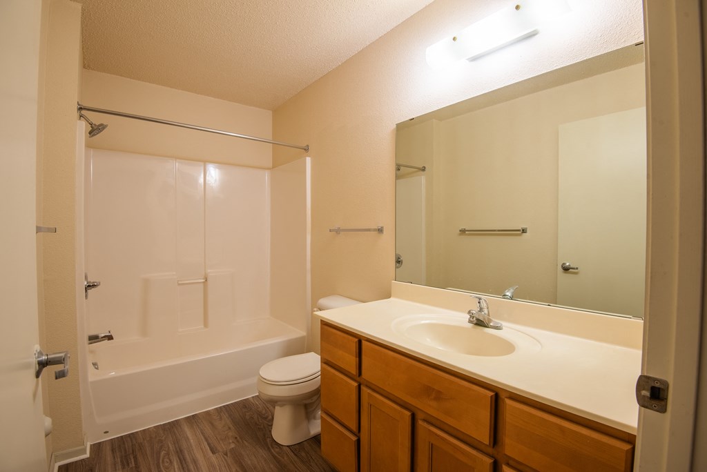 the preserve at ballantyne commons apartment bathroom with sink toilet and shower