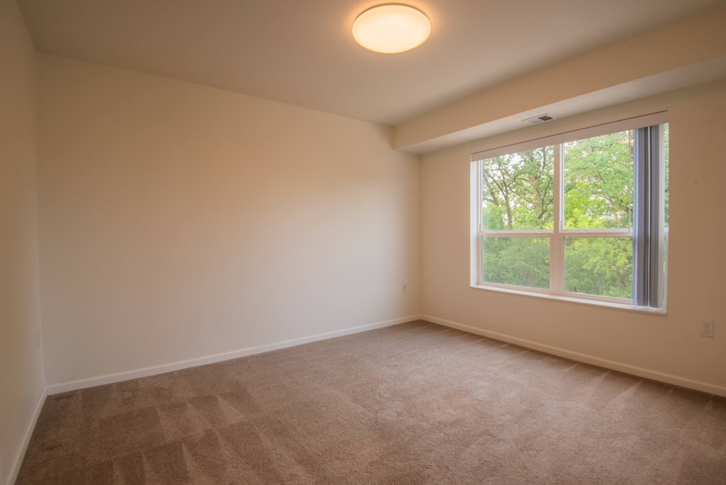 A room with a carpeted floor and a window showing trees outside.