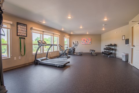 A spacious room with a treadmill, exercise bike, and other workout equipment.