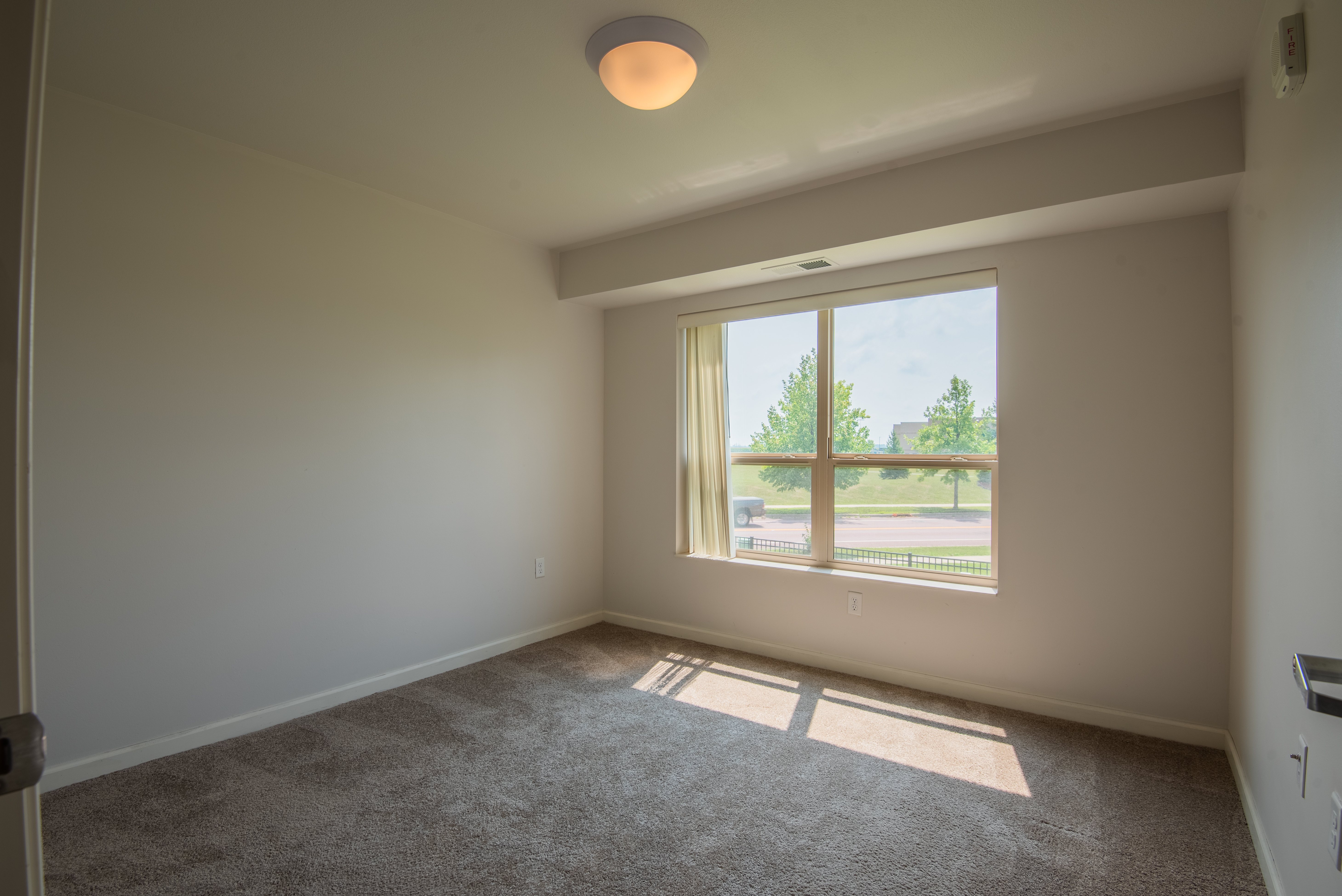 A room with a carpeted floor and a window letting in sunlight.