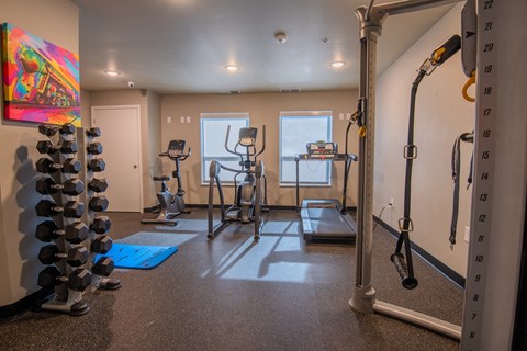 A well-equipped home gym with a variety of exercise equipment.